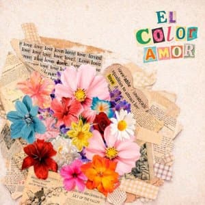El Color Amor