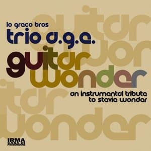 Guitar Wonder (An Instrumental Tribute to Stevie Wonder)
