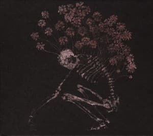 Folk Aesthetic 1996-2006