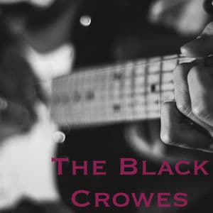 The Black Crowes featuring Jimmy Page - Westwood 1 FM Broadcast Star Lake Amphitheater Pittsburg PA 28th June 2000 Part Three.