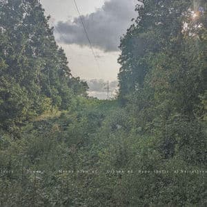 Mechanism of Orphaned Hypothetical Narratives