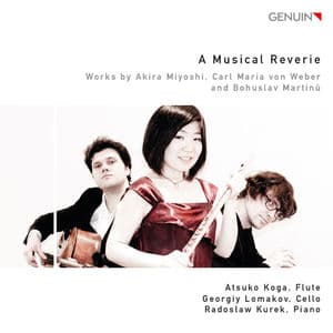 A Musical Reverie
