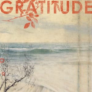 Gratitude (U.S. Version)