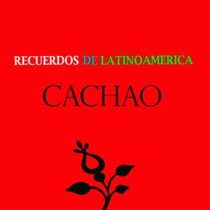 Recuerdos de Latinoamérica- Cachao