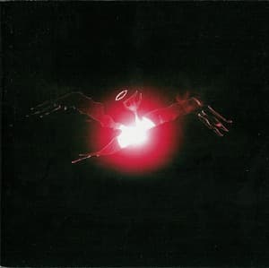 I'll Sleep When You're Dead