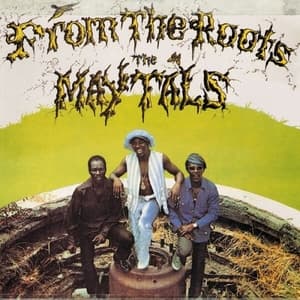 From the Roots {Bonus Tracks}