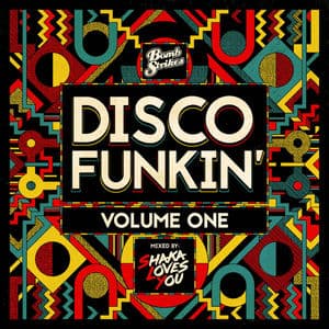 Disco Funkin', Vol. 1 (Curated by Shaka Loves You) [DJ Mix]