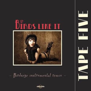 Birds Like It (Remix)