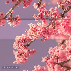 하나씩