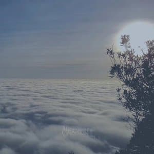 Venti Esperimenti (2010 - 2020)