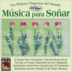 Musica Para Sonar -101 Strings Vol.19