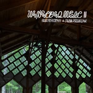 Unexpected Music II