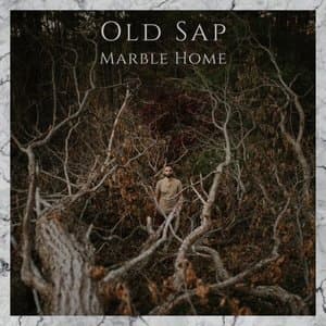 Marble Home