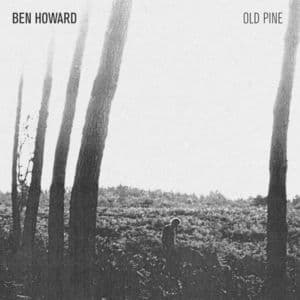 The Old Pine