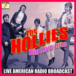 Big Live Hits (Live)