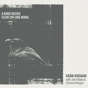 A Bird Never Flew on One Wing