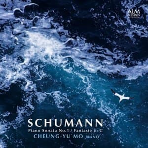 Schumann: Piano Sonata No.1, Fantasie in C