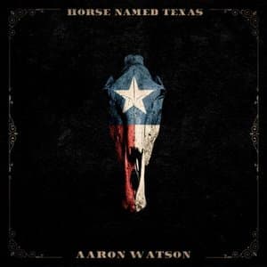 Horse Named Texas