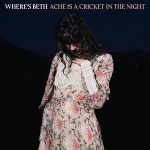 Ache Is A Cricket In The Night