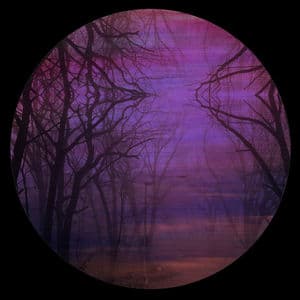 In the Myst