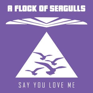 Say You Love Me