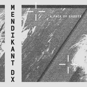 A Pack Of Ghosts