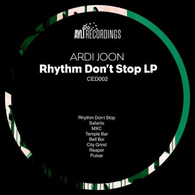 Rhythm Dont Stop LP