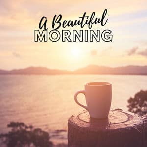 A Beautiful Morning