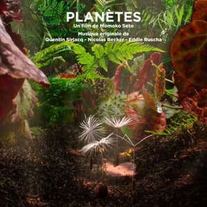 Planetes (Bande originale du film)