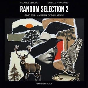 Random Selection 2 - Remastered
