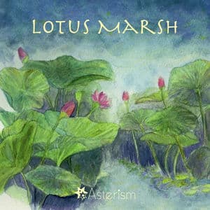 Lotus Marsh