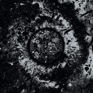 To Infect | To Inflict