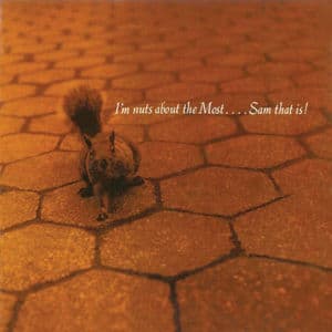 I'm Nuts About the Most… Sam That Is! (Remastered)