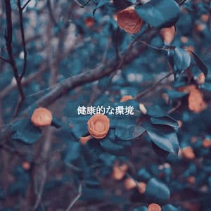 健康的な環境