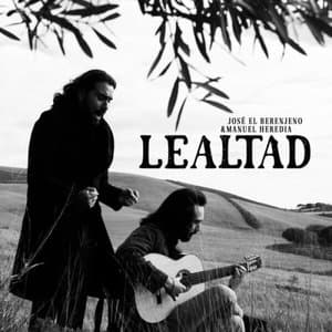 Lealtad