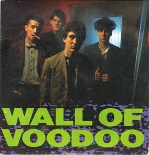 Mexican Radio