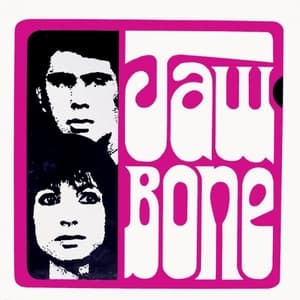 Jawbone Presents