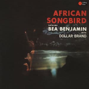African Songbird