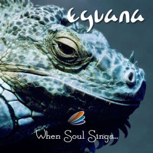 When Soul Sings...
