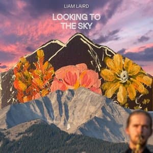 Looking To The Sky