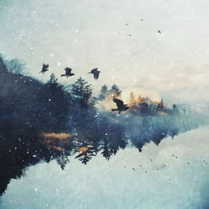 Echoes of Silence / Ambient Reverie