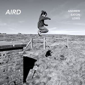 Aird