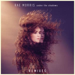 Under the Shadows Remixes