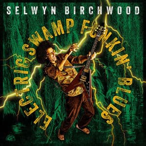 Electric Swamp Funkin' Blues