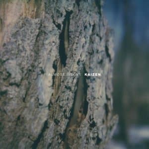 Kaizen