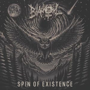 Spin of Existence