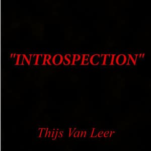 Introspection