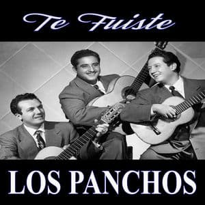 Te Fuiste
