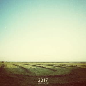 2017