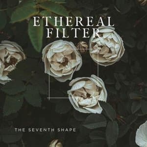 The Seventh Shape
